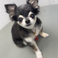 アンナ